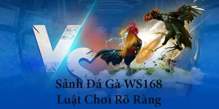 Bí Quyết Chinh Phục Đá Gà WS168 Tại Xin88 Với Tỷ Lệ Thắng Cao 2 Bí Quyết Chinh Phục Đá Gà WS168 Tại Xin88 Với Tỷ Lệ Thắng Cao