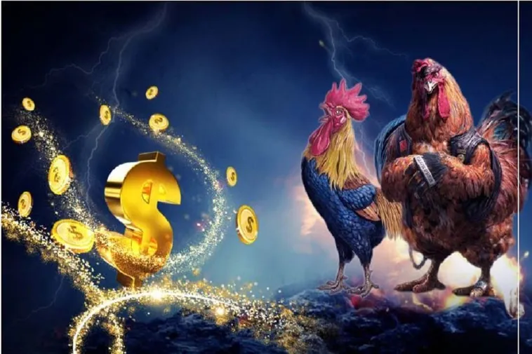Đá Gà Xin88 1 Đá Gà Xin88 Đỉnh Cao Thử Thách Đam Mê Chiến Thắng Ngay Hôm Nay